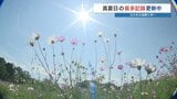 10月折り返しで30℃超 109回目の真夏日で記録更新中・・・暑い! 秋桜に夏の日差し かき氷店は大繁盛 | 熊本のニュース|RKK NEWS|RKK熊本放送