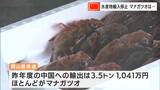 「こりゃもう仕方がないんでね」中国が日本からの水産物輸入停止 瀬戸内産の「マナガツオ」も直撃【岡山】 |TBS NEWS DIG