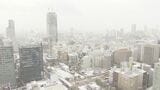 【速報】名古屋も雪景色 今季初の積雪1センチ観測 岐阜市では10センチと平地も積雪|TBS NEWS DIG