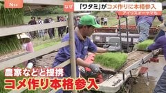 “異業種”がコメ作りに続々参入 安定的なコメ確保に向け「自社生産」へ　ワタミやアイリスオーヤマなど　一方で価格暴落への懸念も| TBS CROSS DIG with Bloomberg