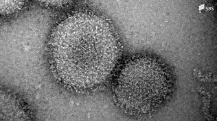 インフルエンザ感染急拡大…26校で学年・学級閉鎖　新型コロナ感染対策などで免疫力低下か=静岡県　|　静岡のニュース | SBSNEWS | 静岡放送