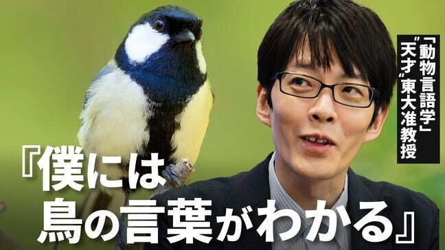 鳥にも言葉があった!「ジャージャー」は“ヘビ” 動物言語学の幕開け|TBS NEWS DIG