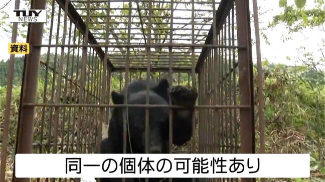 県内でクマの目撃相次ぐ　県が注意を呼びかけ（山形）|TBS NEWS DIG