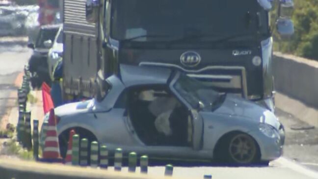 相次ぐ「ワイヤーロープ」なき死亡事故　片側1車線区間で軽乗用車が反対車線へ→大型トラックと正面衝突…男性1人死亡|TBS NEWS DIG