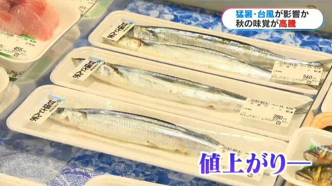 サンマにサケ、柿までも…値上げの波は秋の味覚にも ブドウは平年並みに 鹿児島|TBS NEWS DIG