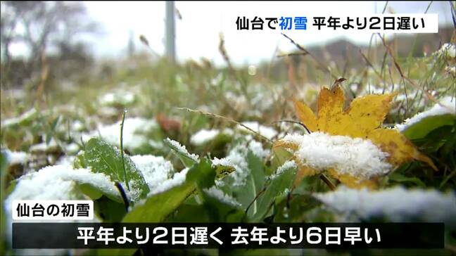 「そろそろかなって思っていた」仙台で初雪 平年より2日遅く去年より6日早い 初雪の観測、今年から自動観測に tbc気象台|TBS NEWS DIG