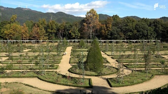 1100品種6000株のバラ「河津バガテル公園」パリ市などとの協定2件の解約完了 9月末まで一般開放の後、閉園＝静岡・河津町|TBS NEWS DIG