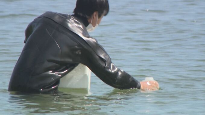 海水浴シーズン前に　鳥取県内８か所で水質調査　|　BSSニュース | BSS山陰放送