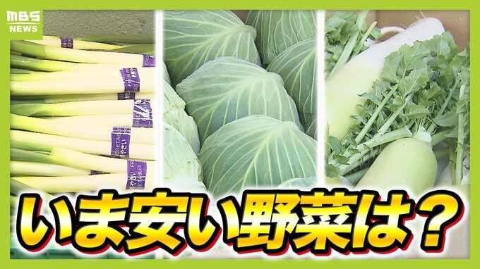 【いま安い野菜は？】だいこんが「１１週連続値下がり」で１ｋｇ１７８円！　一方たまねぎはじわじわ値上がり…【価格動向調査】|TBS NEWS DIG