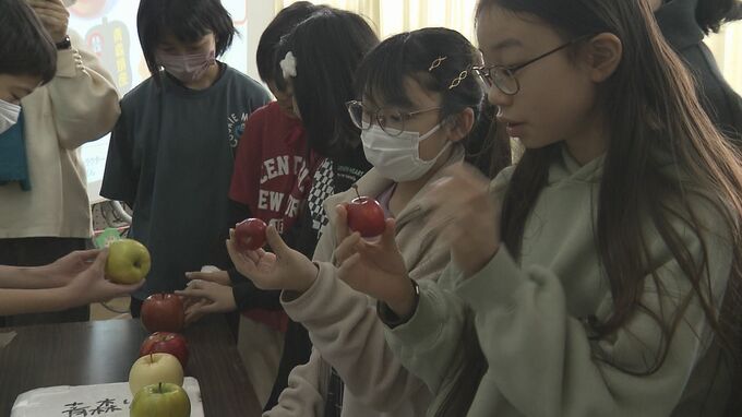 「りんごの種類って結構あるんだ」 那覇市の小学校で青森りんごの出前授業　|　沖縄のニュース｜RBC 琉球放送