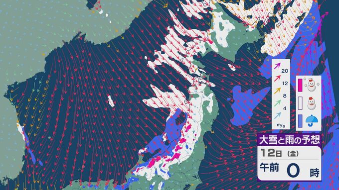 12日(金)は東北日本海側で大雪のところも 沿岸部では風の強まりに注意を 北陸も12日未明から朝は雪の降る天気に 雪・雨と風シミュレーション|TBS NEWS DIG