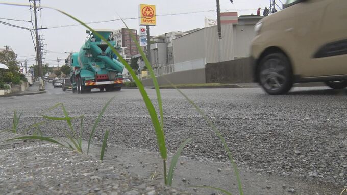 直進してきた車が横断中の77歳女性と接触　女性は腰やひじに軽いけがも救助せず車は逃走　|　沖縄のニュース｜RBC 琉球放送