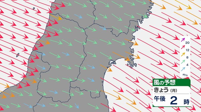 【9日宮城の天気】今季一番の積雪や冷え込みの所も　強風・ふぶきに注意　tbc気象台|TBS NEWS DIG