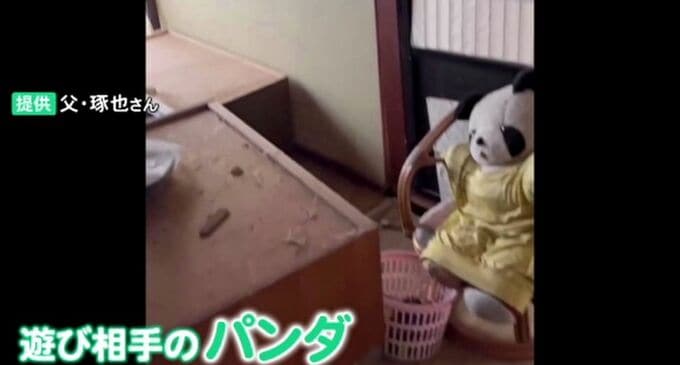 主人公は全壊住宅から見つかった“パンダのぬいぐるみ” 9歳少女が描いた震災絵本 石川・輪島市　|　石川県のニュース｜MRO北陸放送