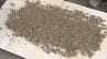 今も遺骨が混じった南部の土砂　辺野古の埋め立てに使用しないよう、新たな条例制定を県に要請　|　沖縄のニュース｜RBC 琉球放送