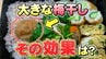 「あなたのお弁当ここが危ない！」食中毒を起こさない弁当作りとは　“梅干し入っているから大丈夫？”　|　宮城のニュース│tbc NEWS│tbc東北放送