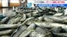 イワシ大漁の喜びも束の間 ガソリン値上げの影響で輸送コスト合わず泣く泣く廃棄も？新潟県佐渡　|　新潟のニュース・天気｜BSN NEWS｜BSN新潟放送