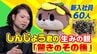 「東京より稼げて、楽しく、かっこよく」素行の悪さNO.1→22歳で関大入学→市職員→起業…70ページの企画書で“しんじょう君”生み出した“バズらせ”の達人が目指すのは「世界で戦える地域」　|　高知のニュース・天気｜KUTV NEWS | KUTVテレビ高知