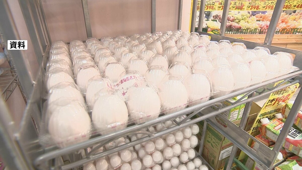 たまご価格 最高値更新の先月からほぼ横ばいも高水準続く | TBS NEWS DIG