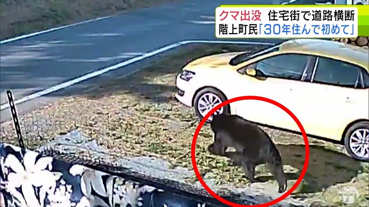 のそのそと…防犯カメラが捉えた体長約1.5mの太ったクマ 約40秒後には