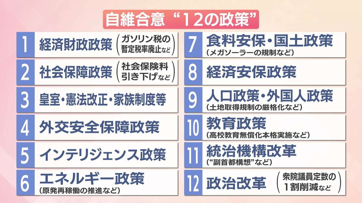 自民・維新が合意「12の政策」 宮崎県民の関心は? | MRTニュース