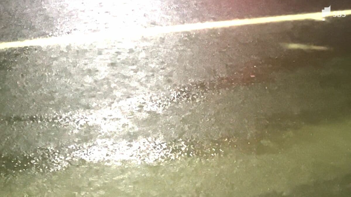 img_60e59c465a505295b689d42650