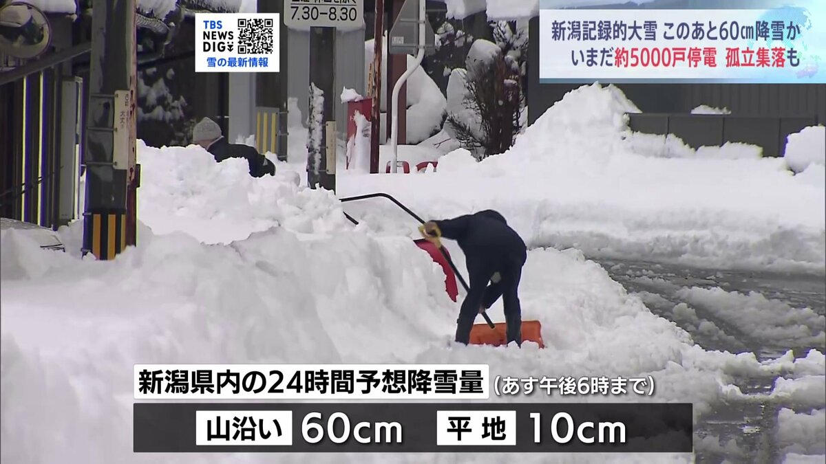 24-25最終出品　値上げ前　雪板13 1650 24-25最終出品 値上げ前 雪板13 1650 24-25最終出品 値上げ前