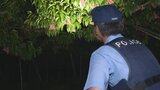 畑からモモやブドウの盗難防止へ 特産地で夜間パトロール開始 去年の被害総額は330万円 | 山梨のニュース | UTYテレビ山梨
