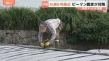 台風6号接近 ピーマン農家が対策に追われる「なるべく最低限で済んでほしい」　沖縄|TBS NEWS DIG
