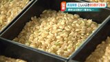 「食味には期待は持てる」 早生米『こしいぶき』例年8割の1等米比率→およそ9割が2等米に…猛暑のため 新潟県 | 新潟のニュース・天気|BSN NEWS|BSN新潟放送