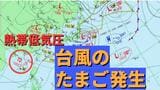 【台風のたまご発生】熱帯低気圧「台風6号と同じような進路」の予想も【雨・風シミュレーション4日(木)~8日(月)】台風情報に今後注意 気象庁天気図詳しく|TBS NEWS DIG