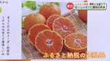 《ふるさと納税ルール改正》 予約が“去年の3分の1”に…一体なぜ?給食費や医療費の財源にしていた自治体も状況厳しく | 熊本のニュース|RKK NEWS|RKK熊本放送