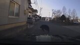 【動画】「家から出ないで！クマいるよ！」警察が叫ぶ…でかい！山形市の中学校に侵入したクマが逃走する瞬間をカメラがとらえた（山形市）　|　山形のニュース│TUYテレビユー山形