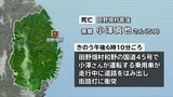 田野畑村の国道で街路灯に衝突 59歳男性死亡|TBS NEWS DIG