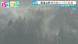 花粉症対策は“先手必勝”がカギ！早めの対策を医師が解説【ひるおび】|TBS NEWS DIG