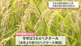 日南市で早期水稲の稲刈り始まる コメ価格高値の中 生産者からは期待と不安の声 | MRTニュース | MRT宮崎放送