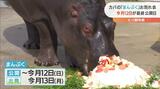 間もなく埼玉へ とべ動物園の人気者 カバの「まんぷく」 別れ惜しむ|TBS NEWS DIG