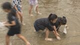 「こんなに取れるとは!」 アユのつかみ取りに1000人が参加 「ふしの川漁協まつり」にぎわう | 山口のニュース・天気・防災|tys NEWS|tysテレビ山口