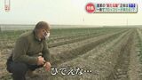 野菜のおいしさに気づいた「困ったカモ」たちに立ち向かう「農家ハンター」 農業被害額は10年で約40倍に | 熊本のニュース|RKK NEWS|RKK熊本放送