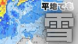 【大雪情報】関東甲信地方　広い範囲で雪が降り平地でも大雪に…9日昼前にかけて山沿いや山地を中心に、平地や伊豆諸島でも大雪となる所がある見込み【雪と雨のシミュレーション】|TBS NEWS DIG