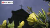 夜に咲く花 長崎・五島にある堂崎教会の月見草 | 長崎のニュース | 天気 | NBC長崎放送