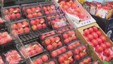 トマトは“高嶺” レタスは約3倍…野菜の価格高騰 猛暑の影響で大量廃棄、農家悲鳴 | 大分のニュース|OBS NEWS|大分放送