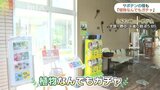 カプセルトイでサボテンや多肉植物の種・貴重なものも…常時１５種類|TBS NEWS DIG
