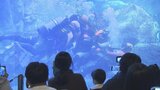 海上保安部の潜水士が水族館で寸劇を披露 「118番」適正利用呼びかけ 大分 | 大分のニュース|OBS NEWS|大分放送