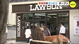 「宮島初のコンビニ」オープン　ローソンが出店　島民たちも喜ぶ　|　RCC NEWS | 広島ニュース | RCC中国放送