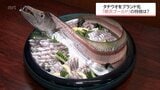 宮崎市で水揚げ　最高品質のテンジクタチウオをブランド化　「檍浜ゴールド」とは　|　MRTニュース ｜ ＭＲＴ宮崎放送