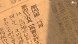 「検察の都合のいいようにあれもだめこれもだめでは困る」えん罪被害者を救済する再審法の改正案に反発の声 袴田巖さんのような被害をなくすために...姉・ひで子さんは静かな怒り　|　静岡のニュース | SBSNEWS | 静岡放送