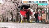 東京ドーム11個分の園内には人力車も『第100回 高田城址公園観桜会』ライトアップは継続 新潟県上越市|TBS NEWS DIG