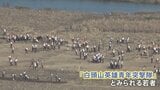北朝鮮の“青年突撃隊”か　カメラがとらえた被災地の大勢の若者　今後、北朝鮮では食糧事情悪化の可能性も|TBS NEWS DIG