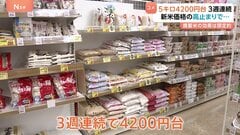 コメ平均価格 4211円　前週比35円↓も3週連続で4200円台の​高値​続く　要因は夏～秋収穫の新米価格が高止まり| TBS CROSS DIG with Bloomberg